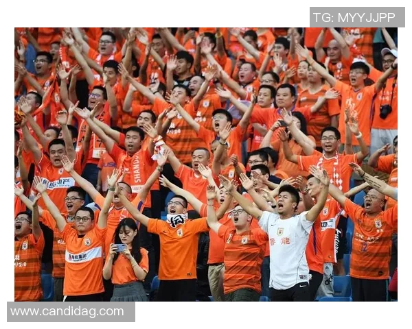 长滩岛足球热潮兴起球迷齐聚共享激情与快乐的盛宴